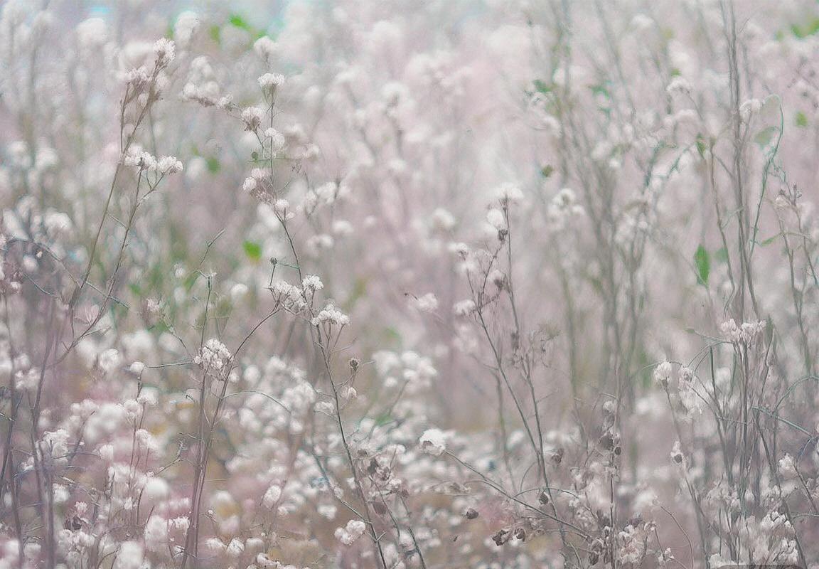 富力与上港激战正酣：精彩瞬间回顾与直播不容错过